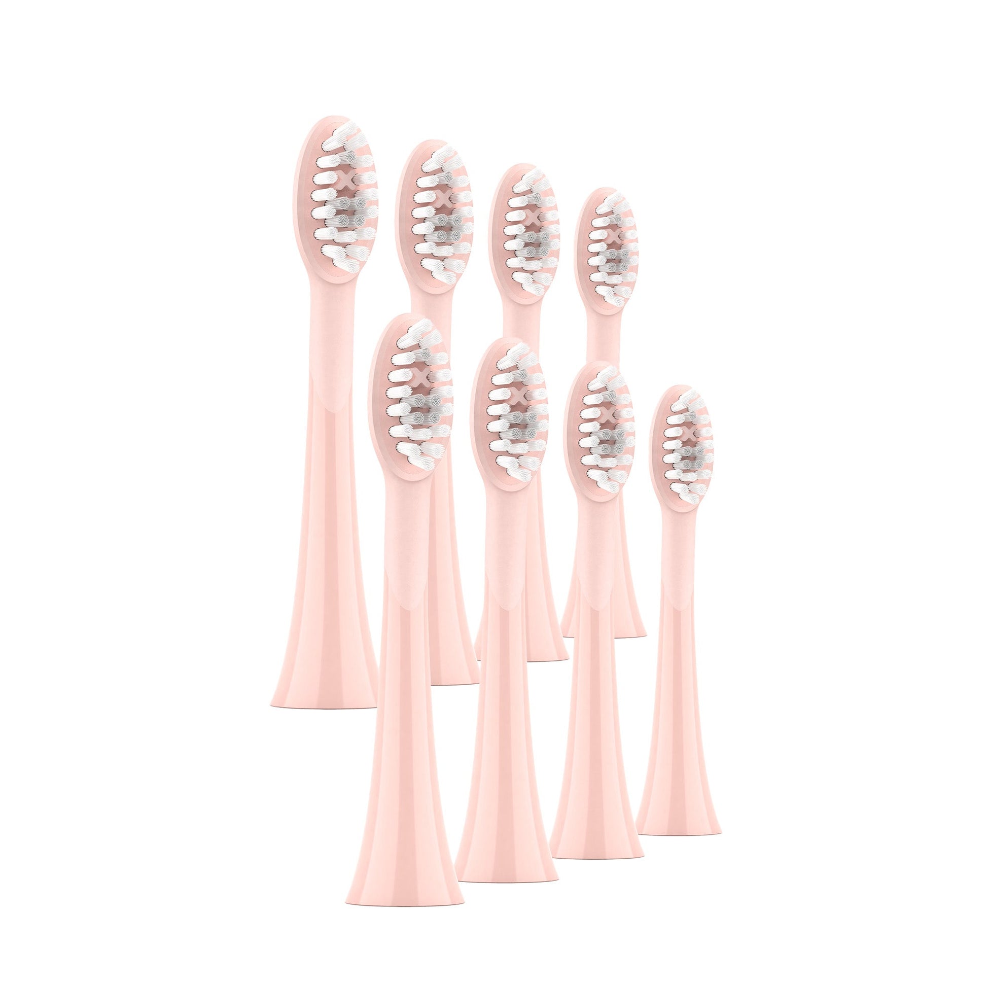 Ordo Sonic Brush Head Rose Gold | Petal 8 Pack Bundle - MataMata