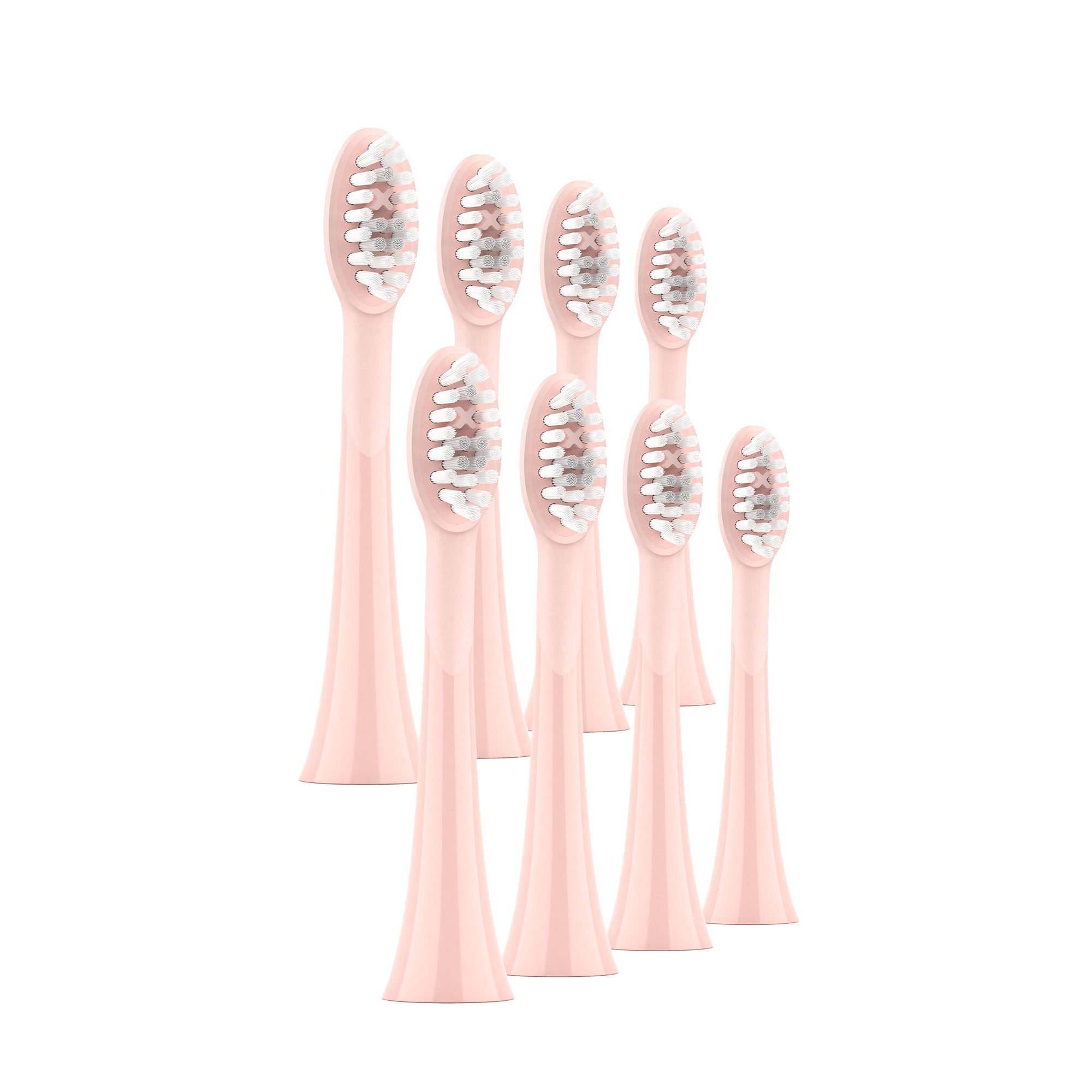 Ordo Sonic Brush Head Rose Gold | Petal 8 Pack Bundle - MataMata