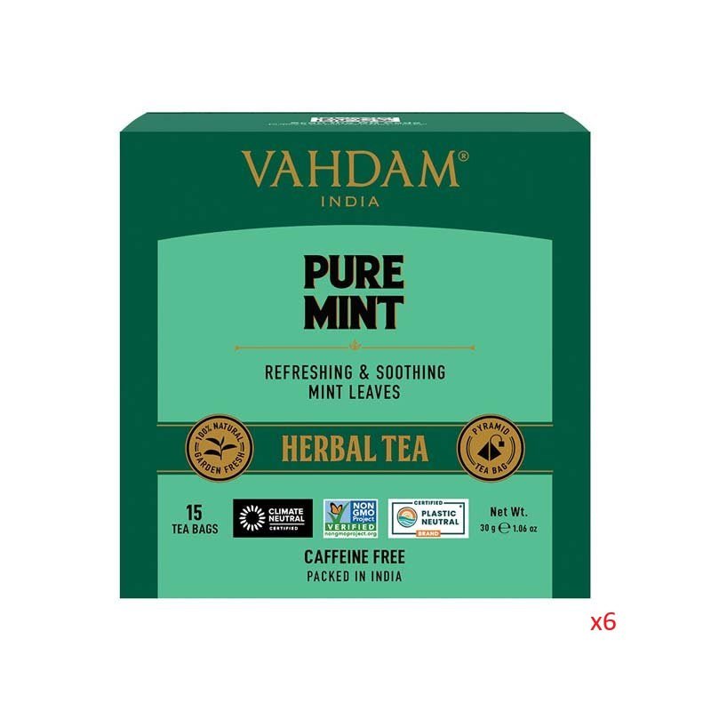 VAHDAM TEA 15TB PYRAMID PURE MINT x6 - MataMata